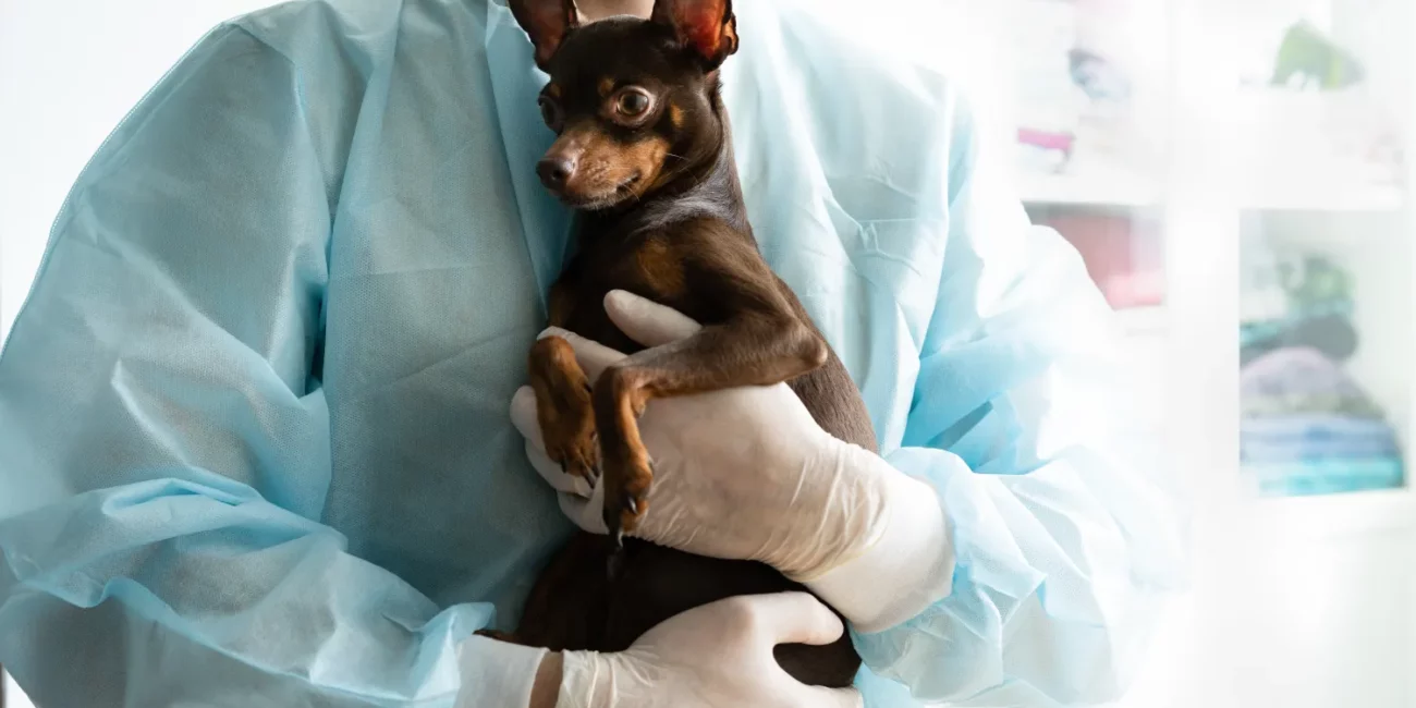 Blog inmobiliario en Santiago oriente con noticias y tendencias